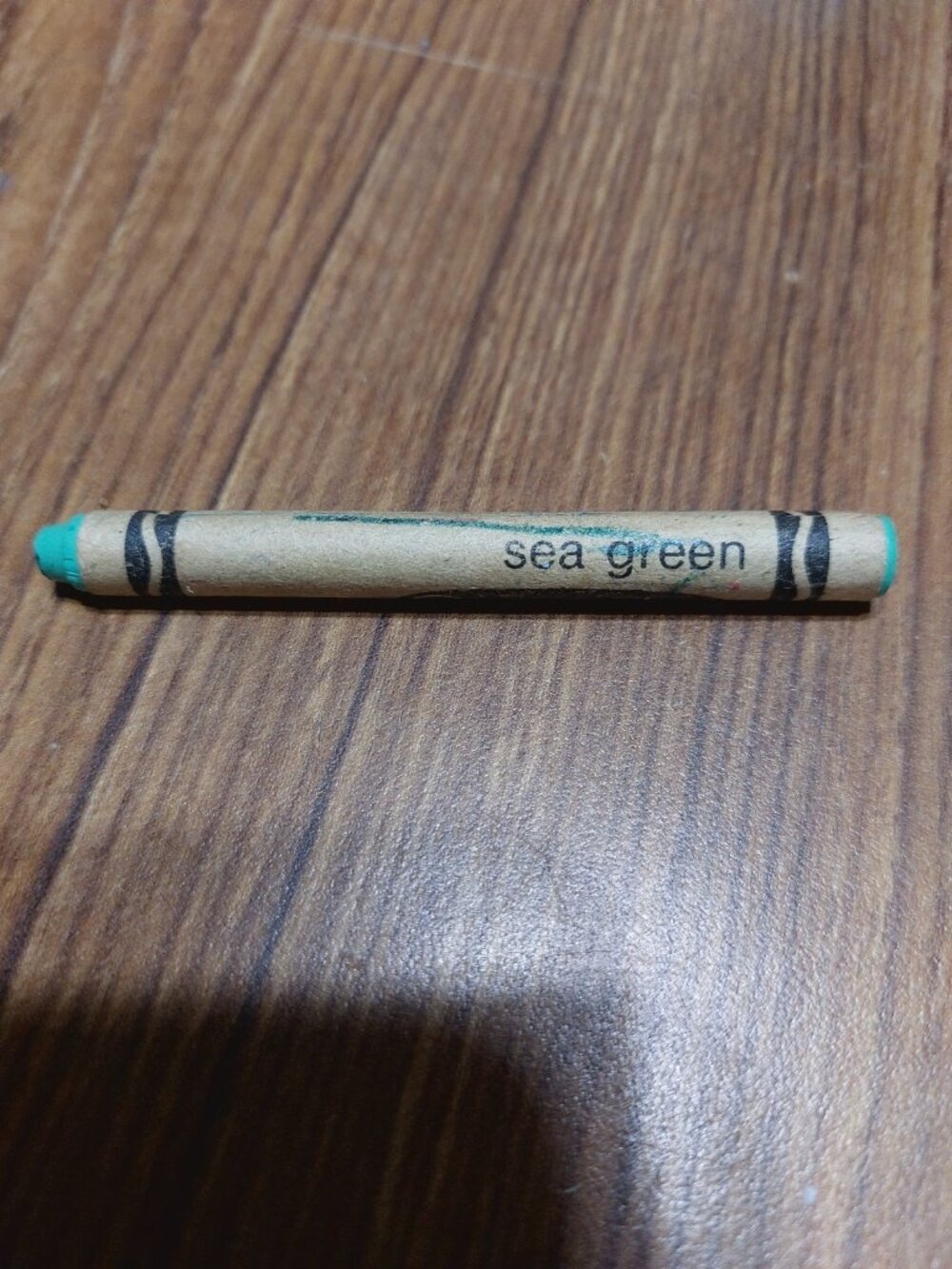 Crayola Crayons Sea Green Used Binney And Smith